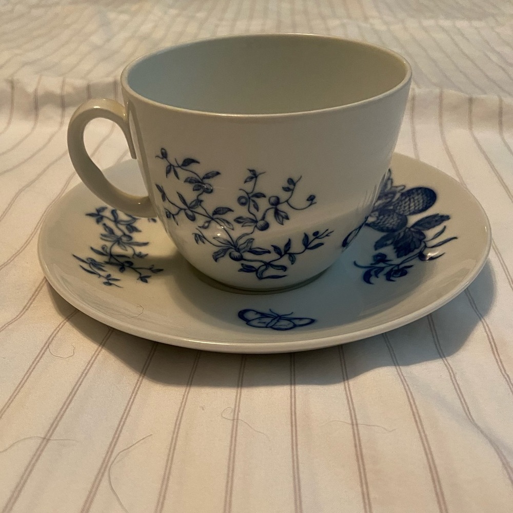 Cup and Saucer - Royal Worcester C51 - Rhapsody - excellent condition
